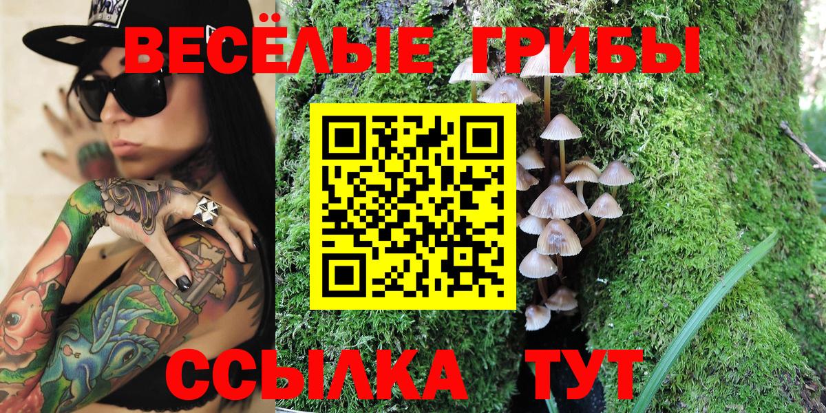 Волгоград  Псилоцибиновые грибы ЛСД  Вход с VPN 
