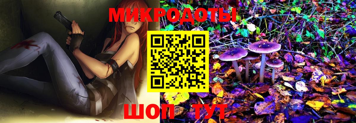 Галлюциногенные грибы MAGIC MUSHROOMS Волгоград